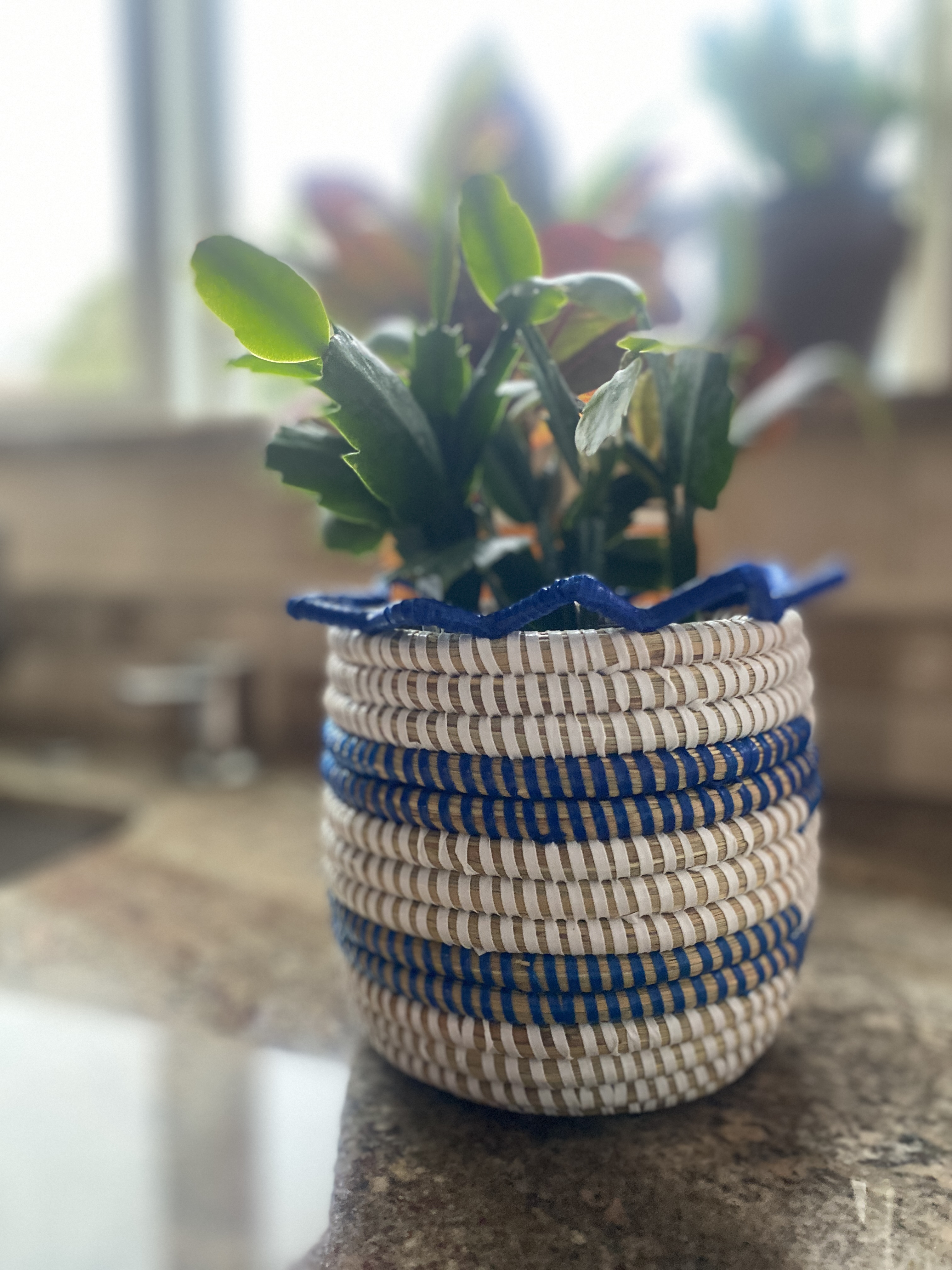 Mini handwoven Senegalese basket